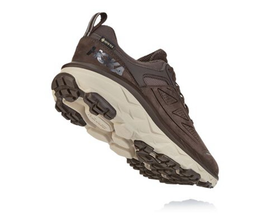 Hoka Australia One One Challenger Low GORE-TEX - Mens Trail Shoes Brown - TCEHO-3289